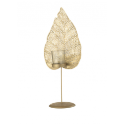 Photophore feuille