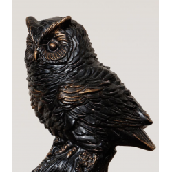 Hibou sur une branche
