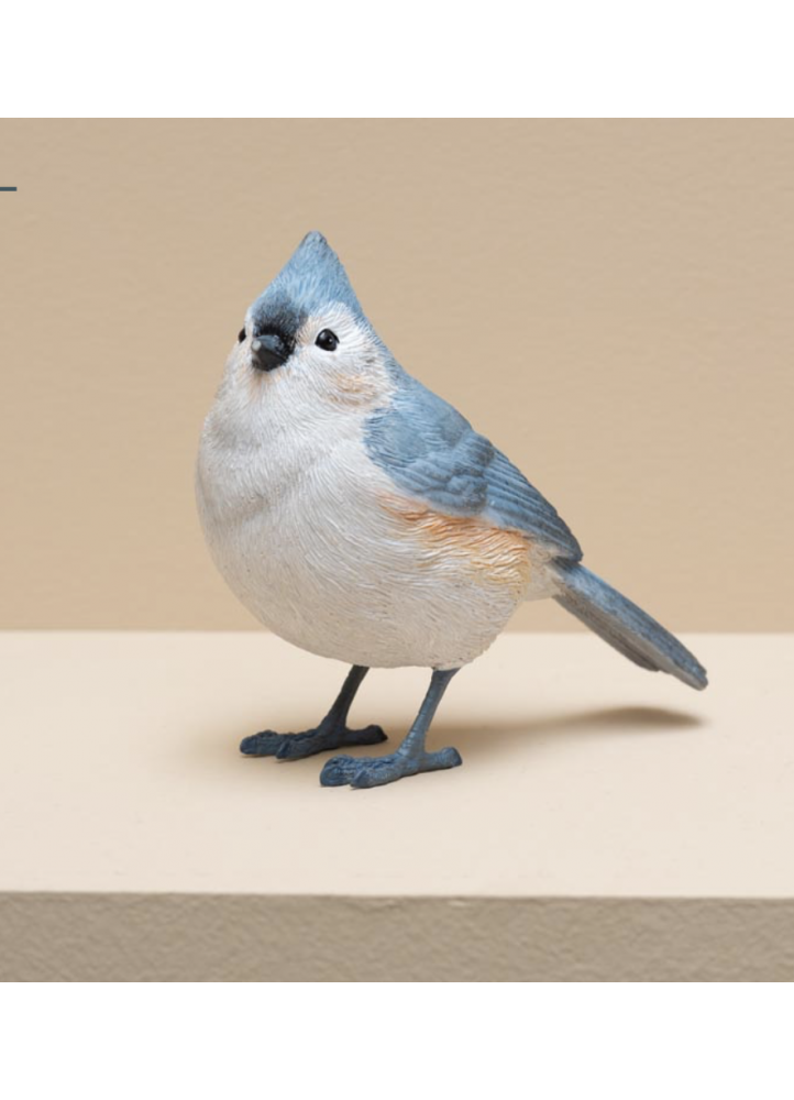 Mésange huppée